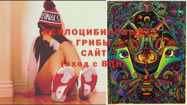 экстази Алексин