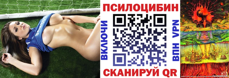 продажа наркотиков  Новое Девяткино  Галлюциногенные грибы прущие грибы 